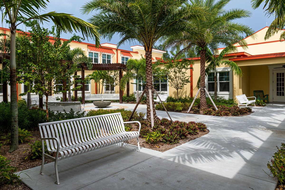 A serene courtyard with palm trees and a bench, surrounded by buildings.
