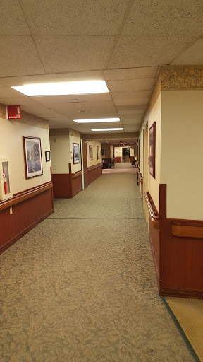 A well-lit hallway with carpeted flooring and decorated walls.