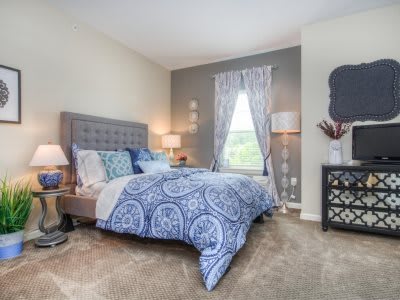 A cozy and stylishly decorated bedroom with a blue patterned bedspread and modern furnishings.