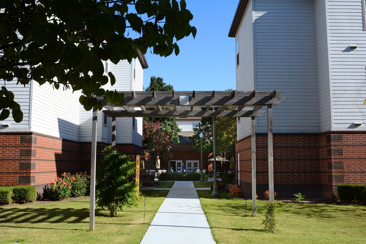 A walkway through a pergola surrounded by greenery in a residential area.