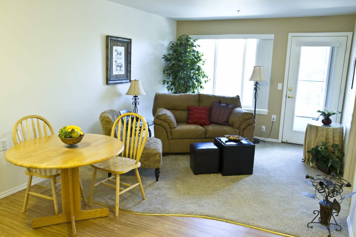 A cozy living room with a sofa, table, chairs, and decorative plants.
