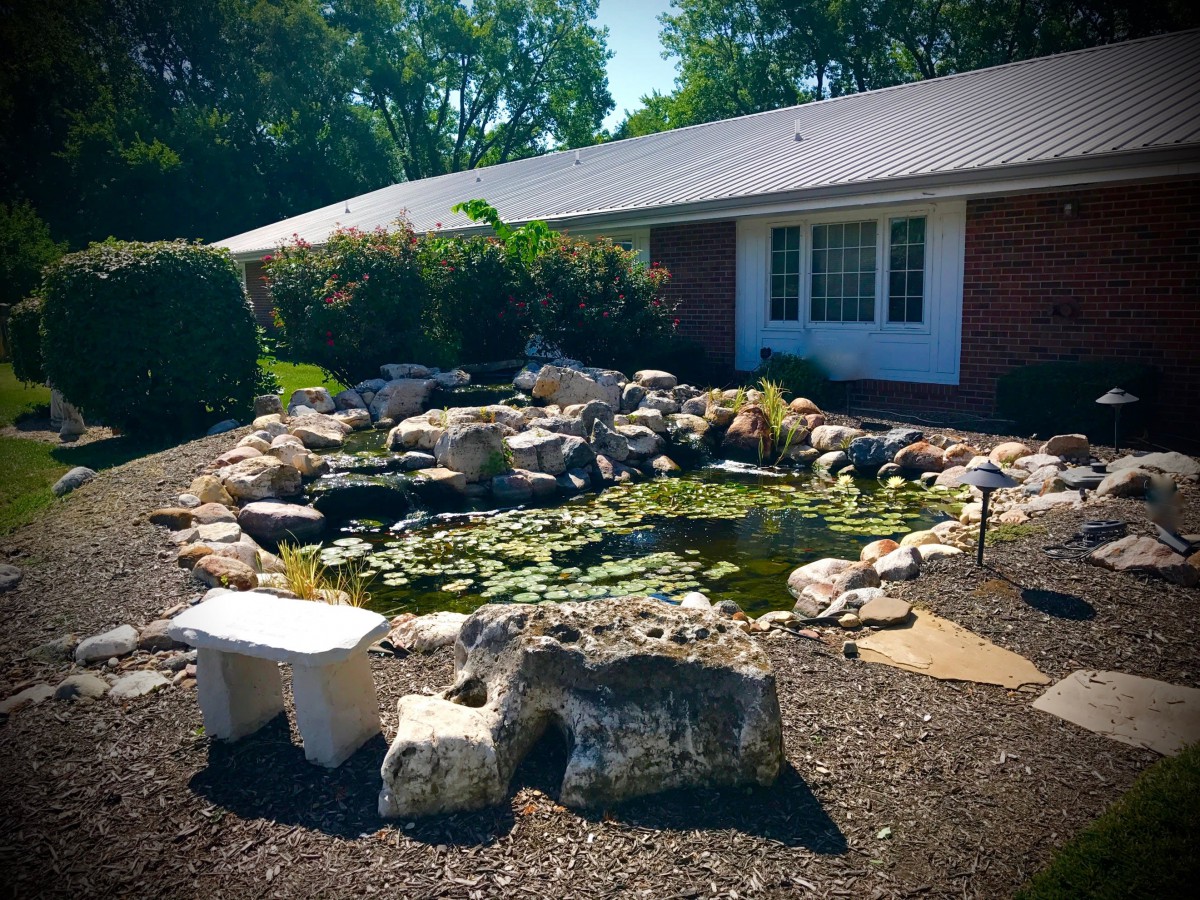 A serene garden pond surrounded by rocks in front of a house, with water lilies and a stone bench nearby.