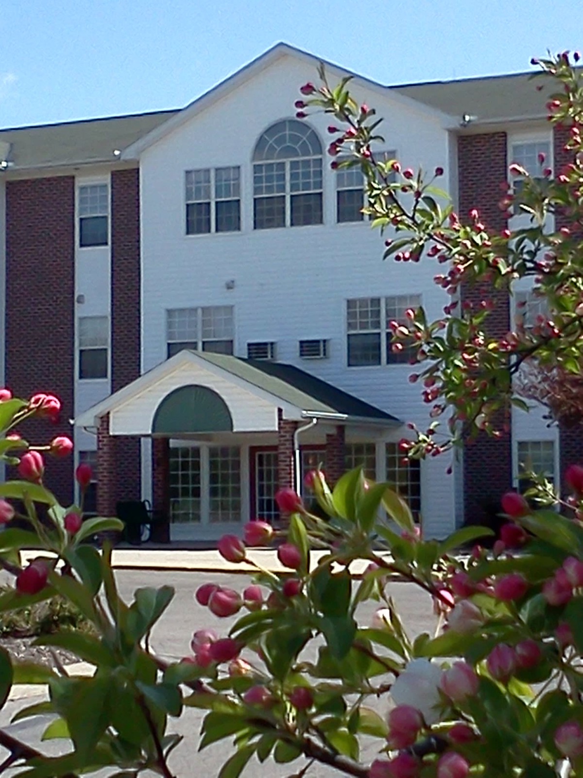 Colonial Woods