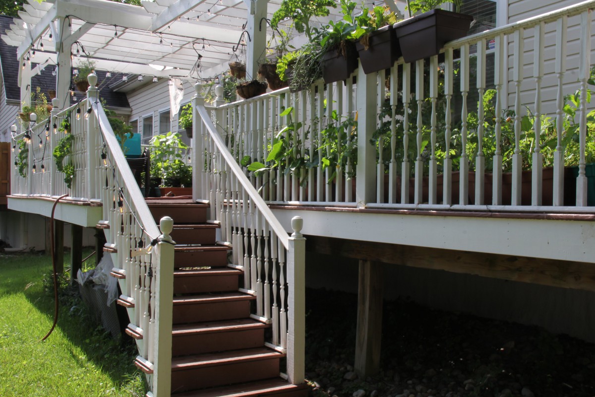 An outdoor deck with stairs leading up to a pergola, adorned with potted plants.