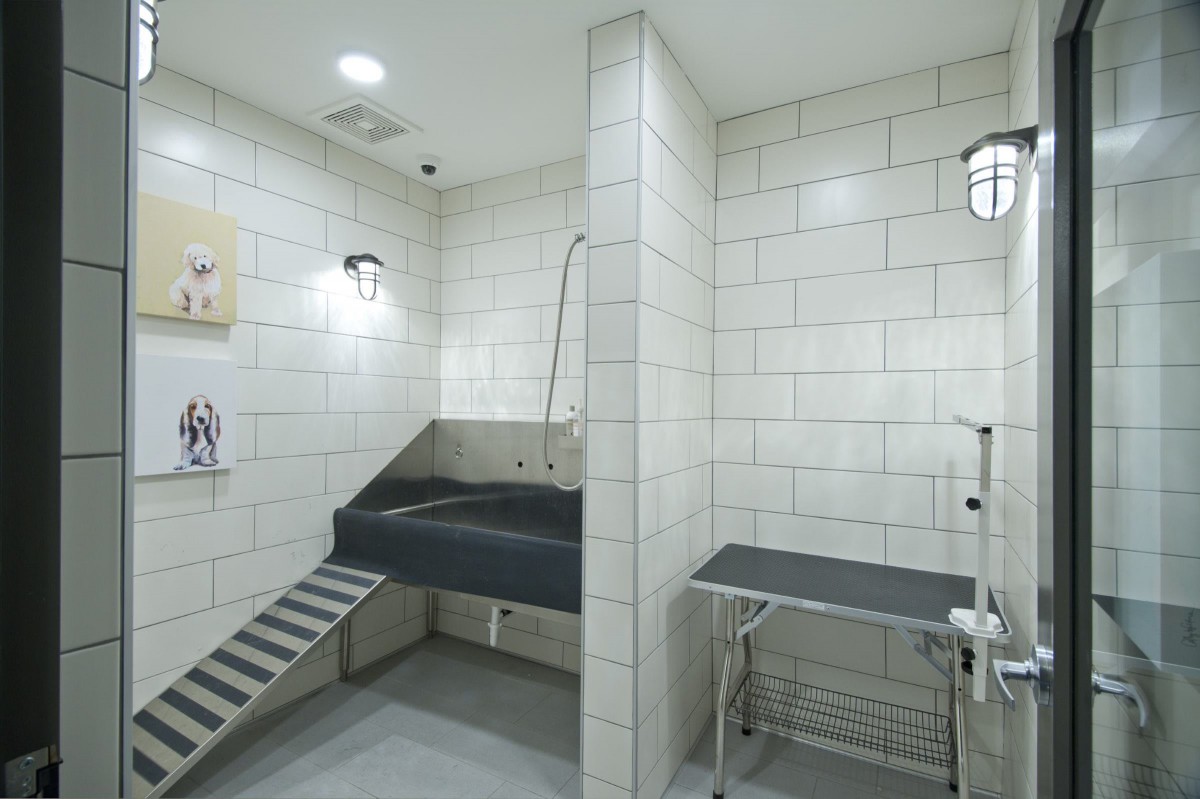 A clean and modern pet grooming station with tiled walls, featuring a shower area and ramp.