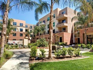 A modern apartment complex surrounded by palm trees and well-maintained landscaping.