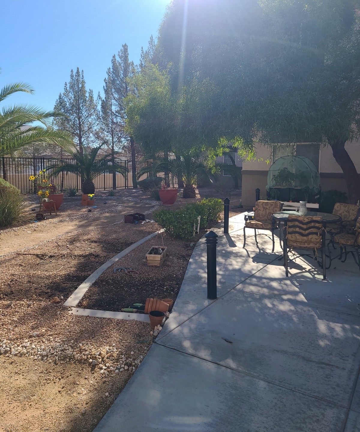 A sunny yard with trees, a pathway, and outdoor furniture.