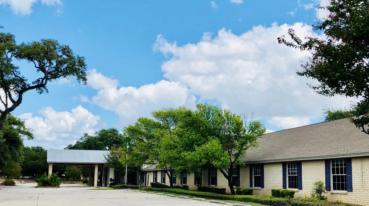 Image showing trees, landscaping, nature.