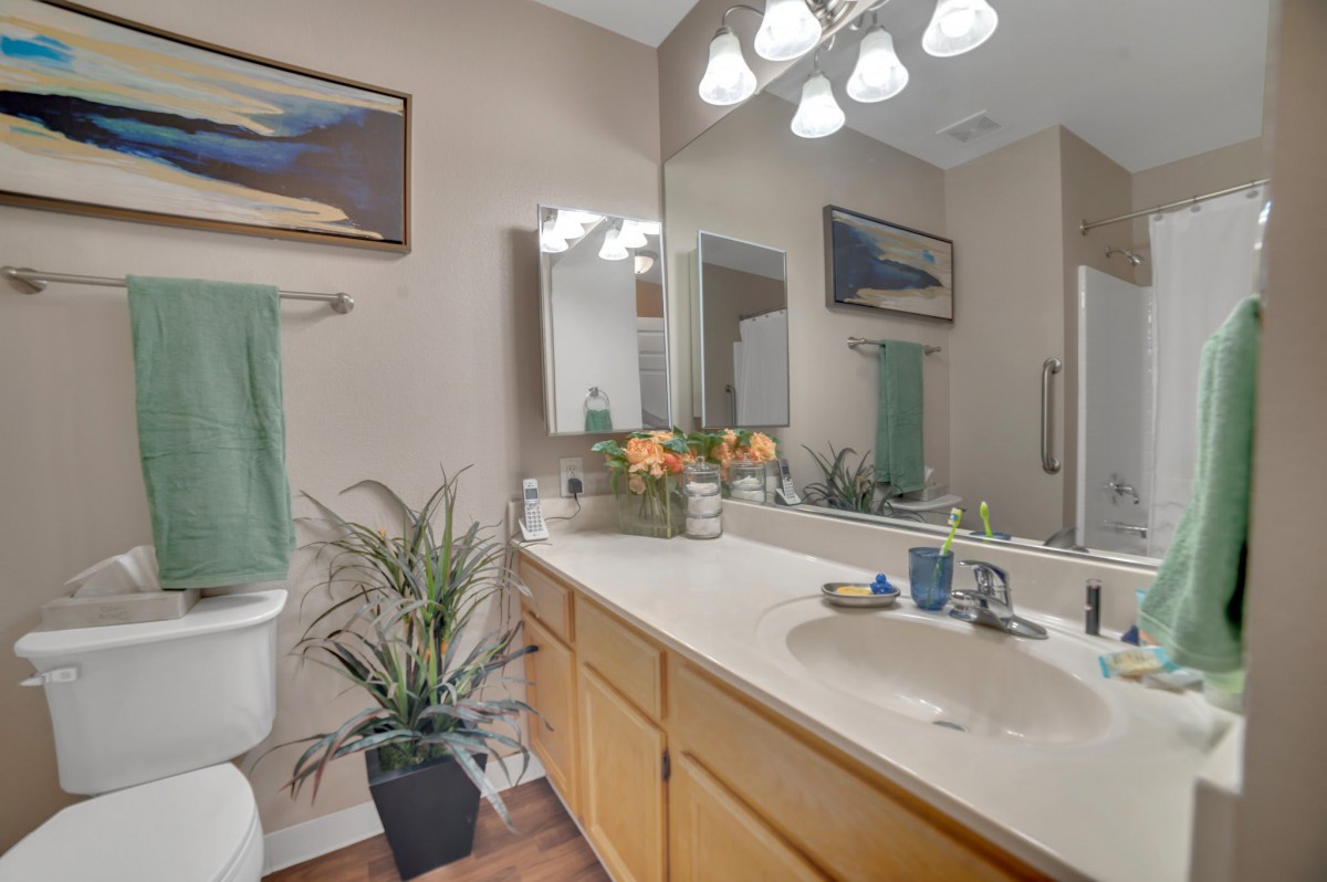 A modern bathroom with a large mirror, double sink, and decorative elements such as plants and artwork.