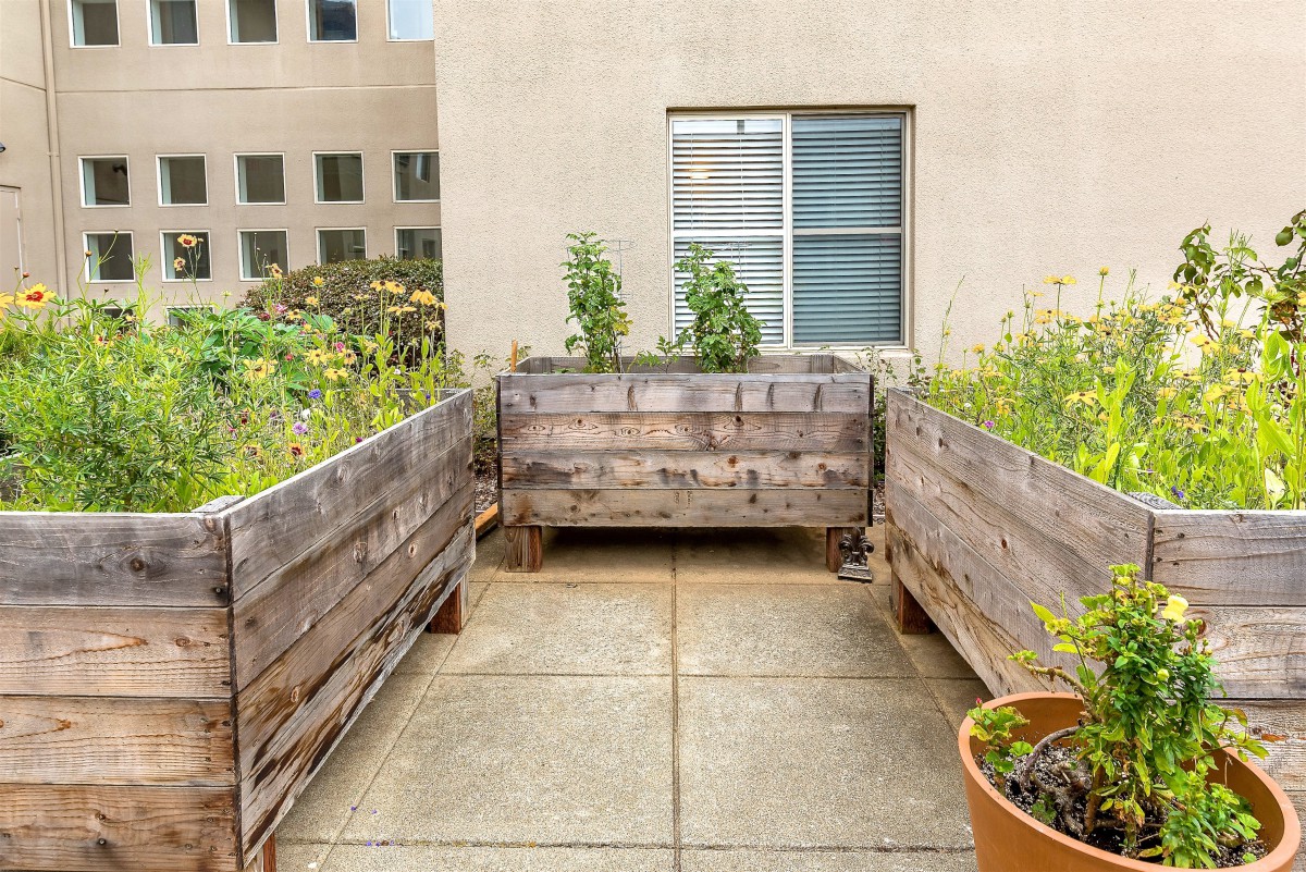 A rooftop garden featuring wooden raised beds and potted plants, set against an urban backdrop.