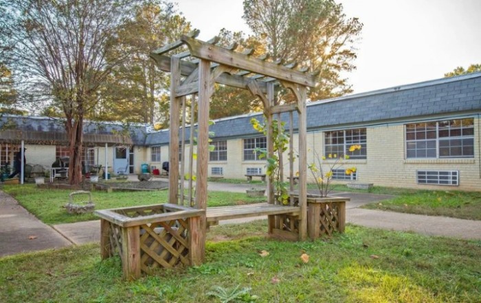 A wooden garden structure with plants in an outdoor courtyard near a building.