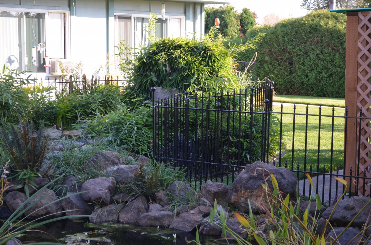 A serene garden with a pond and surrounding greenery, enclosed by a decorative metal fence.
