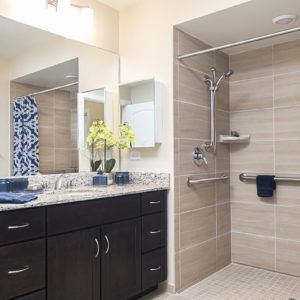 A modern bathroom with a walk-in shower and sleek vanity.