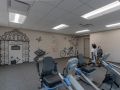 A gym room with exercise equipment and murals on the walls.