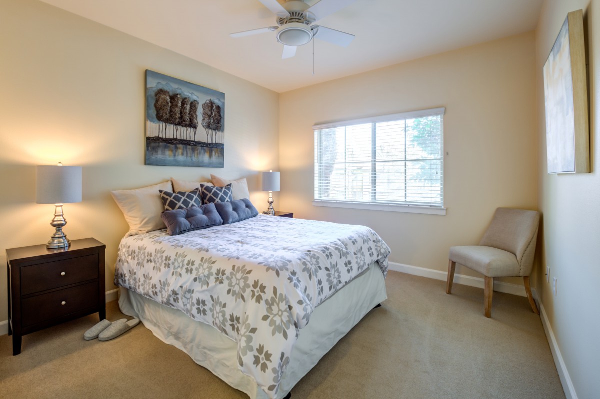 A cozy bedroom with a neatly made bed, decorative pillows, and natural light coming through the window.