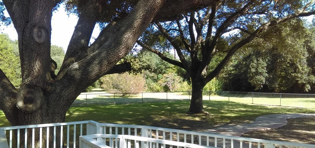 A serene view of a park with large trees and a white fence.