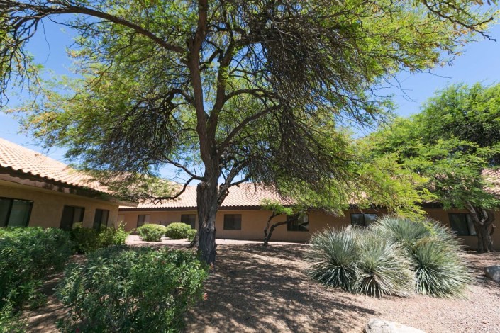 A desert landscape featuring a house surrounded by trees and native plants.