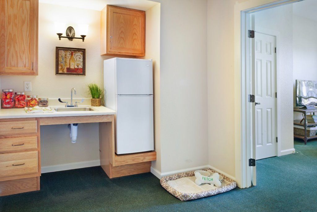 A pet-friendly hotel room featuring a sink, mini refrigerator, and a dog bed.