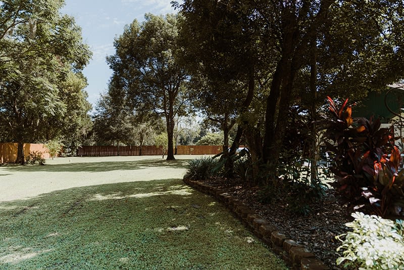 A serene garden view with lush greenery and tall trees basking in sunlight.