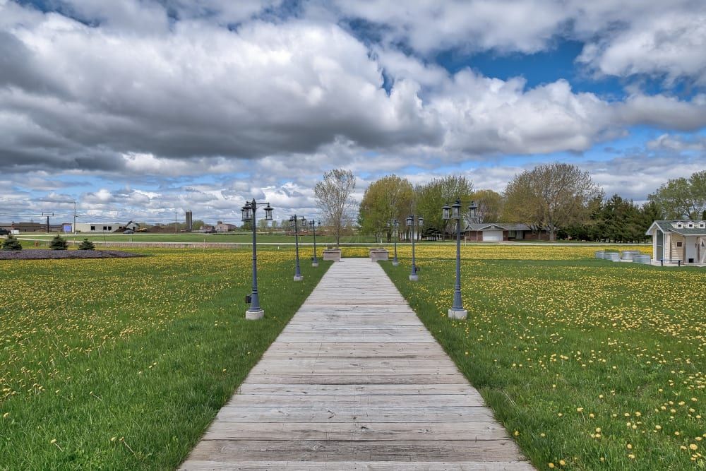 A wooden boardwalk stretches through a grassy field under a cloudy sky.