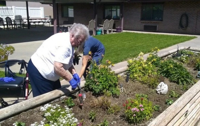 Two people working together in a garden bed on a sunny day.