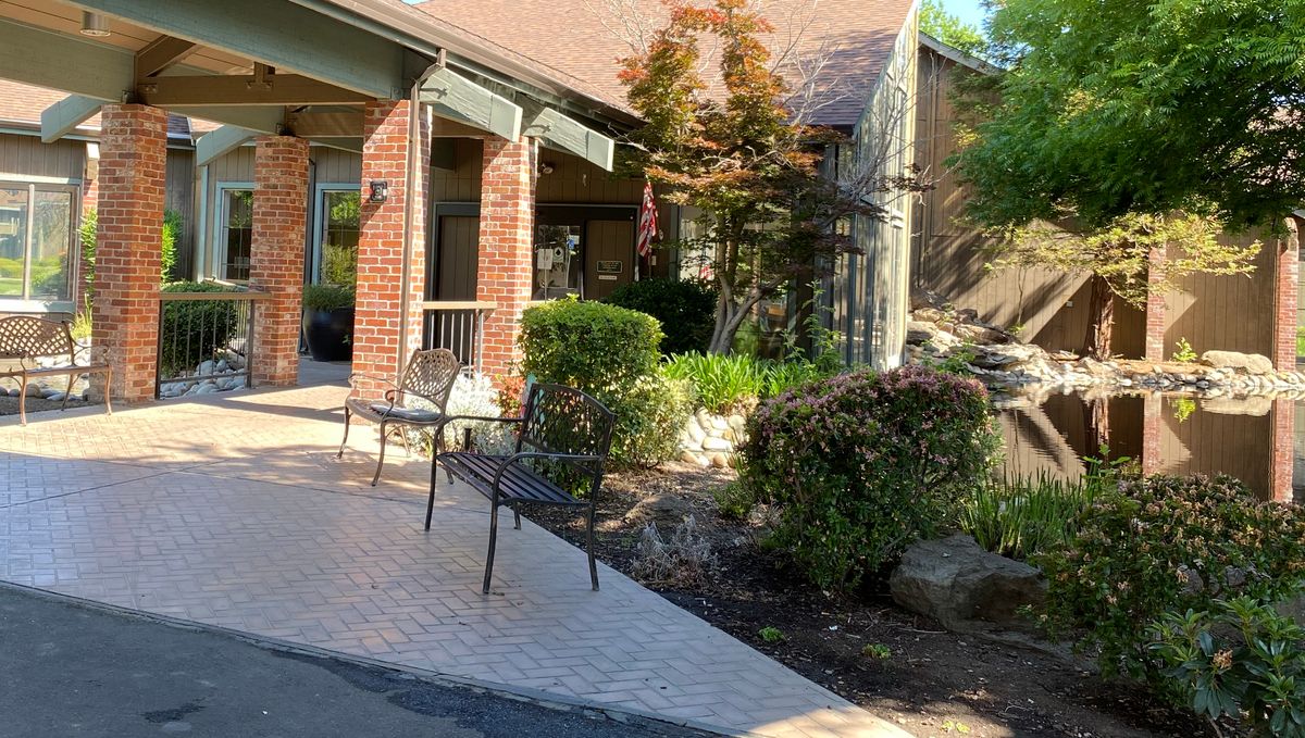 A charming patio with chairs beside a brick building surrounded by lush greenery.