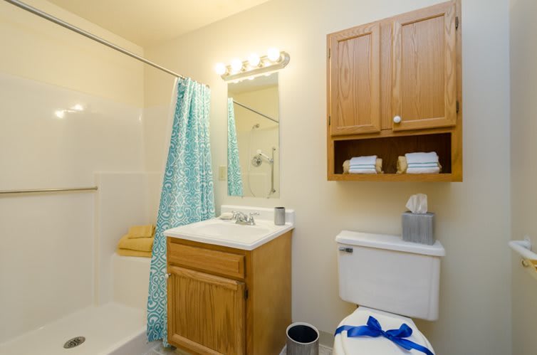 A bathroom featuring a shower with a blue curtain, a vanity with a mirror and sink, a toilet, and wall-mounted cabinets.