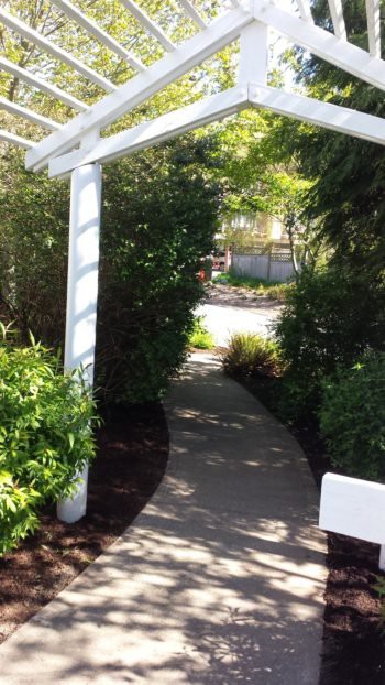 A sunlit garden pathway surrounded by lush greenery.
