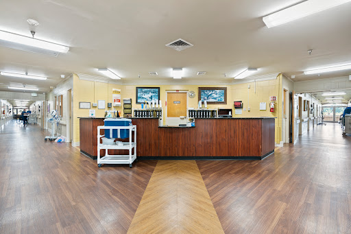 A welcoming reception area with a wooden counter and modern decor.