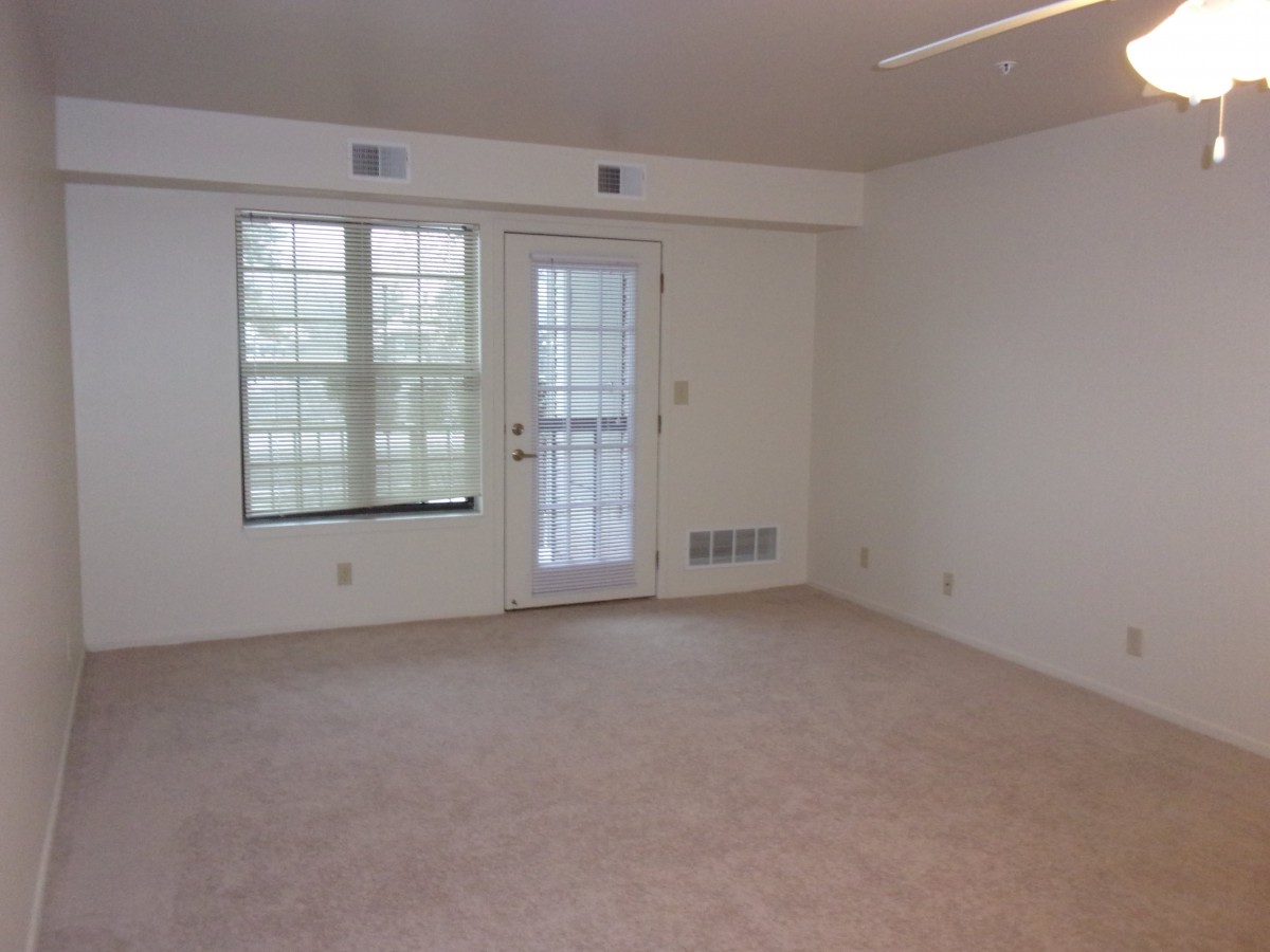 A vacant carpeted room with large windows and a door.