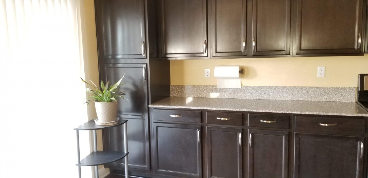 Modern kitchen with dark wood cabinets and a potted plant.