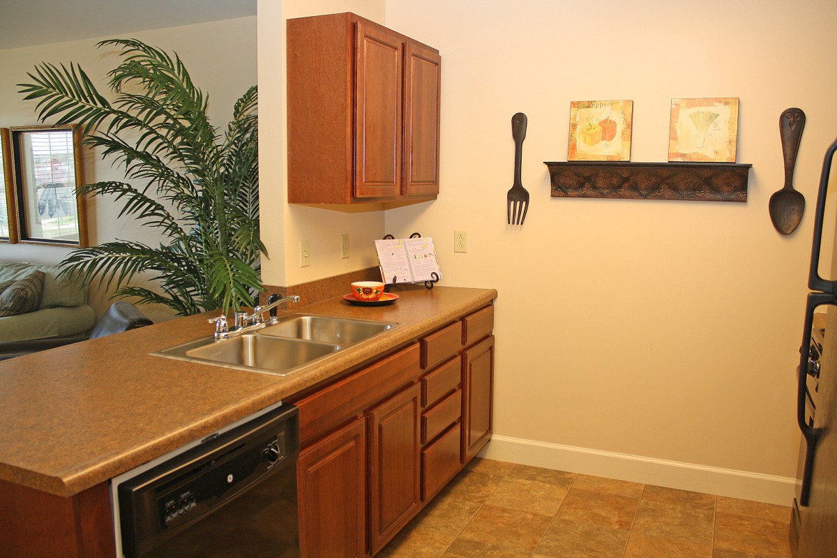 A cozy kitchen with wooden cabinets and a countertop, featuring a sink, decorative wall art, and a potted plant.