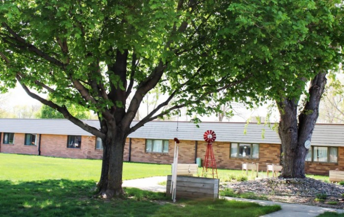 A quiet yard featuring a large tree, a small windmill, and a brick building in the background.