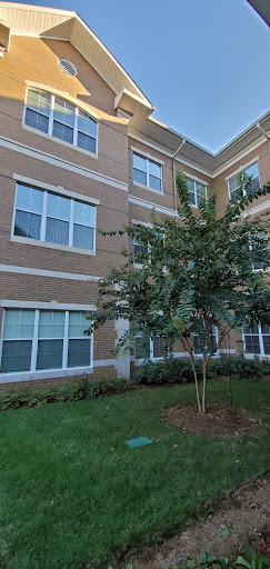 A view of an apartment building with landscaped surroundings.