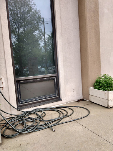 A view of a door and window with a potted plant, accompanied by a garden hose on the concrete.