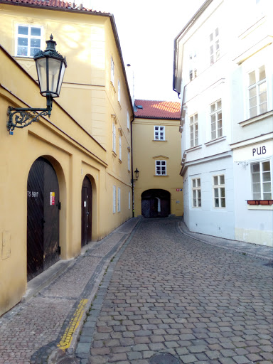 A charming cobblestone alleyway flanked by historic buildings.