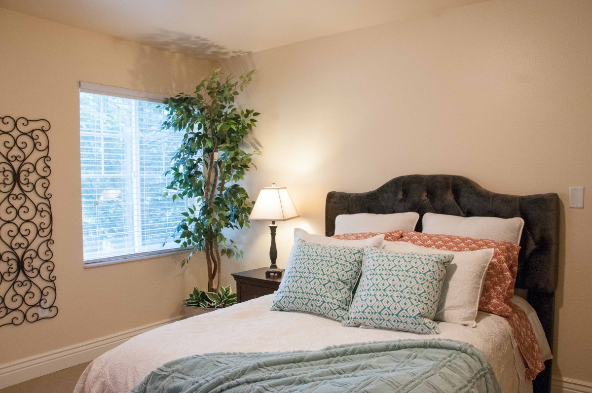 A cozy bedroom with a neatly made bed, soft pillows, a lamp on the bedside table, and a large plant near the window.