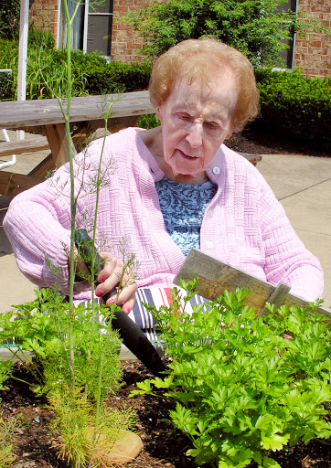 An elderly woman enjoys gardening, tending to her plants in a sunny outdoor setting.