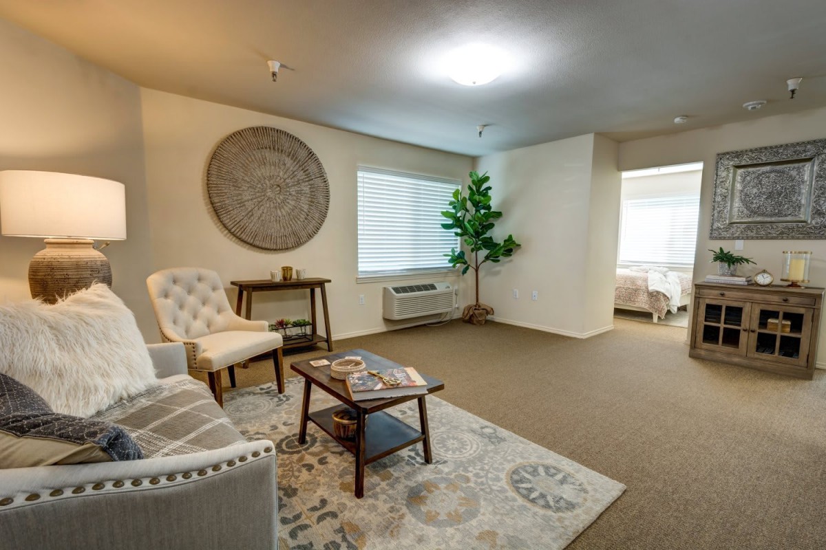A modern and cozy living room with comfortable seating, decorative elements, and natural lighting.