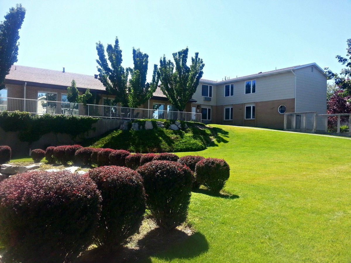 A sunny day view of a well-maintained lawn with bushes and trees in front of residential buildings.