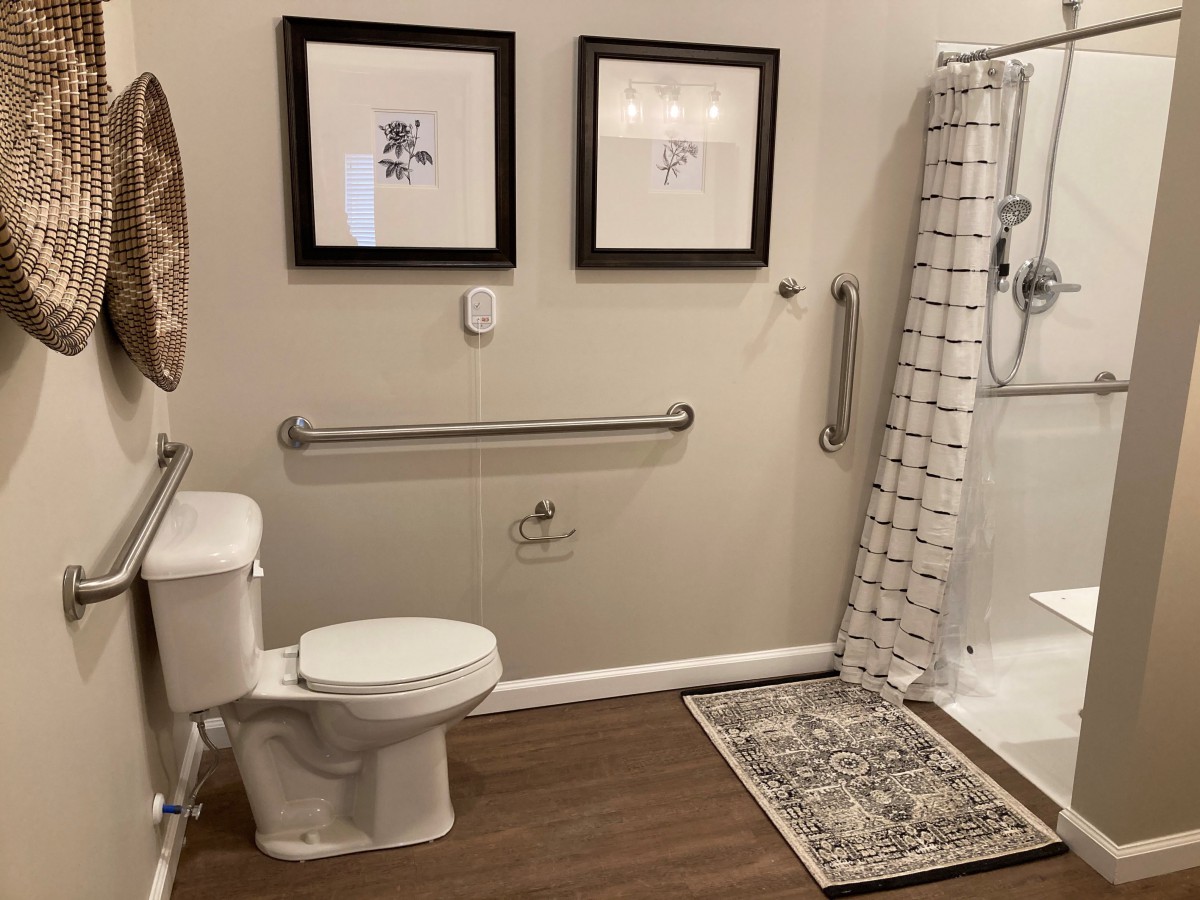 An accessible bathroom featuring a toilet, shower, and grab bars with decorative wall art and a floor mat.