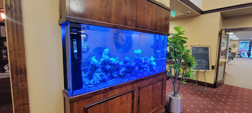 A beautifully illuminated aquarium featuring vibrant marine life, set against a wooden backdrop.