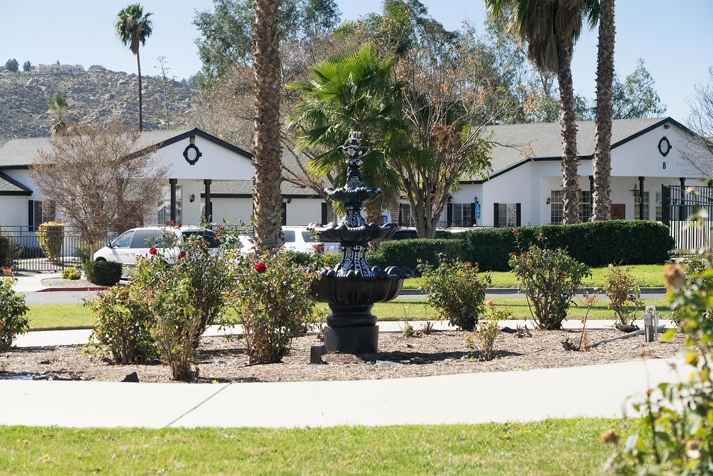 A garden with a fountain and a house in the background, surrounded by palm trees on a sunny day.