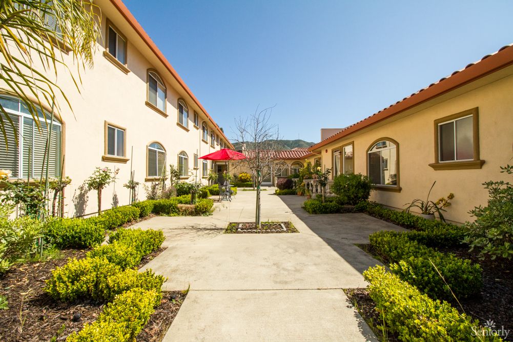 A sunny courtyard with a pathway lined by greenery between two buildings.