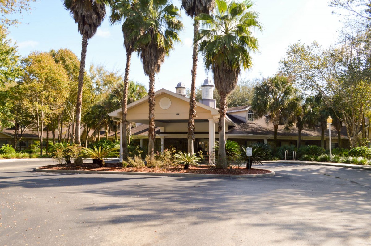 A tropical resort with palm trees and a spacious outdoor area.