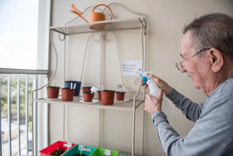 A person waters plants in pots placed on a shelf indoors.