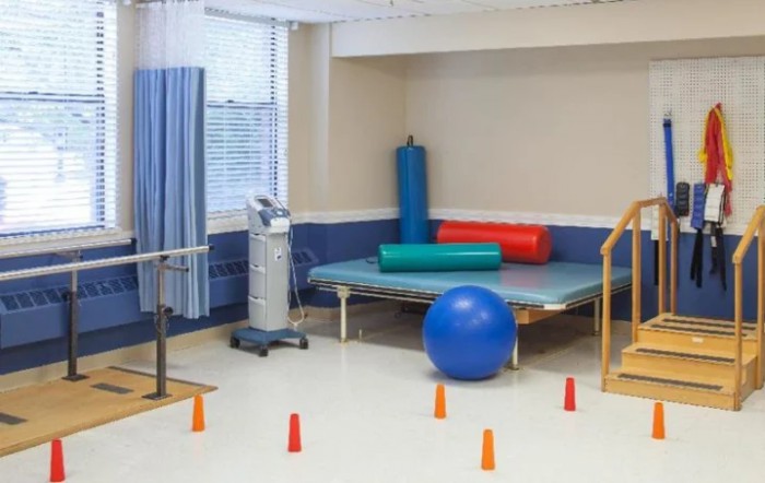 Maplewood Rehab And Nursing