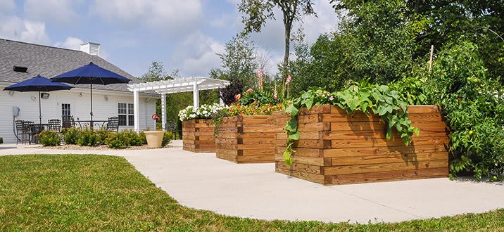 A beautifully landscaped garden with wooden raised beds filled with lush green plants and flowers, set against a backdrop of trees and a pergola.