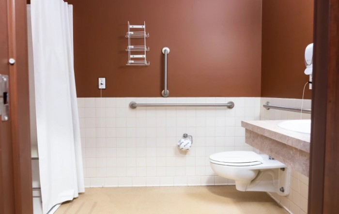 A handicap accessible bathroom with grab bars and a shower area.