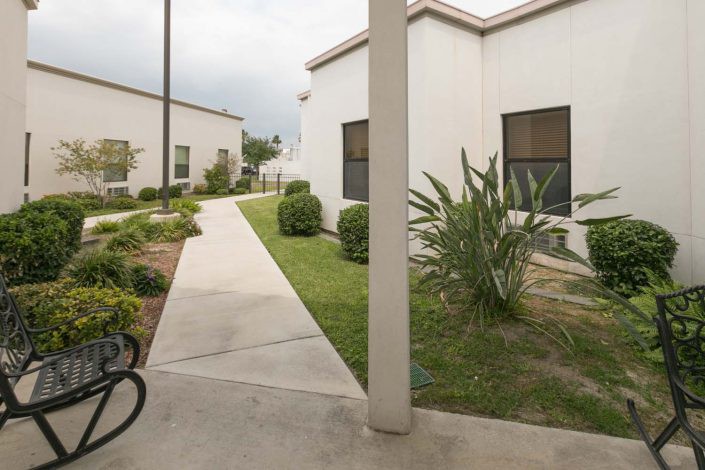 A view of a building with a concrete pathway and landscaped shrubs.
